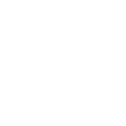 PythonGuide365